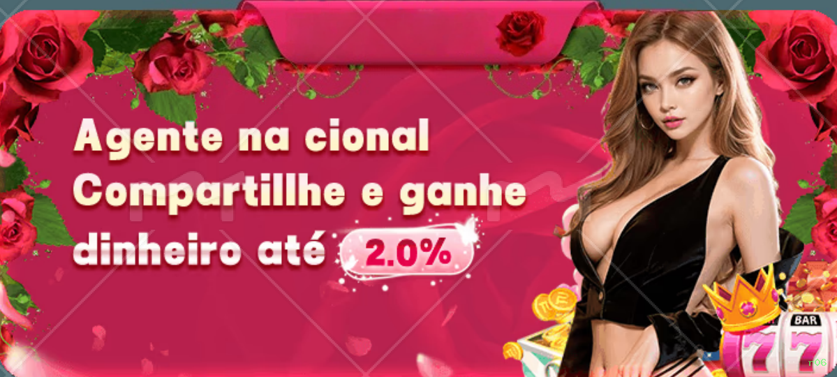 Programa VIP r06